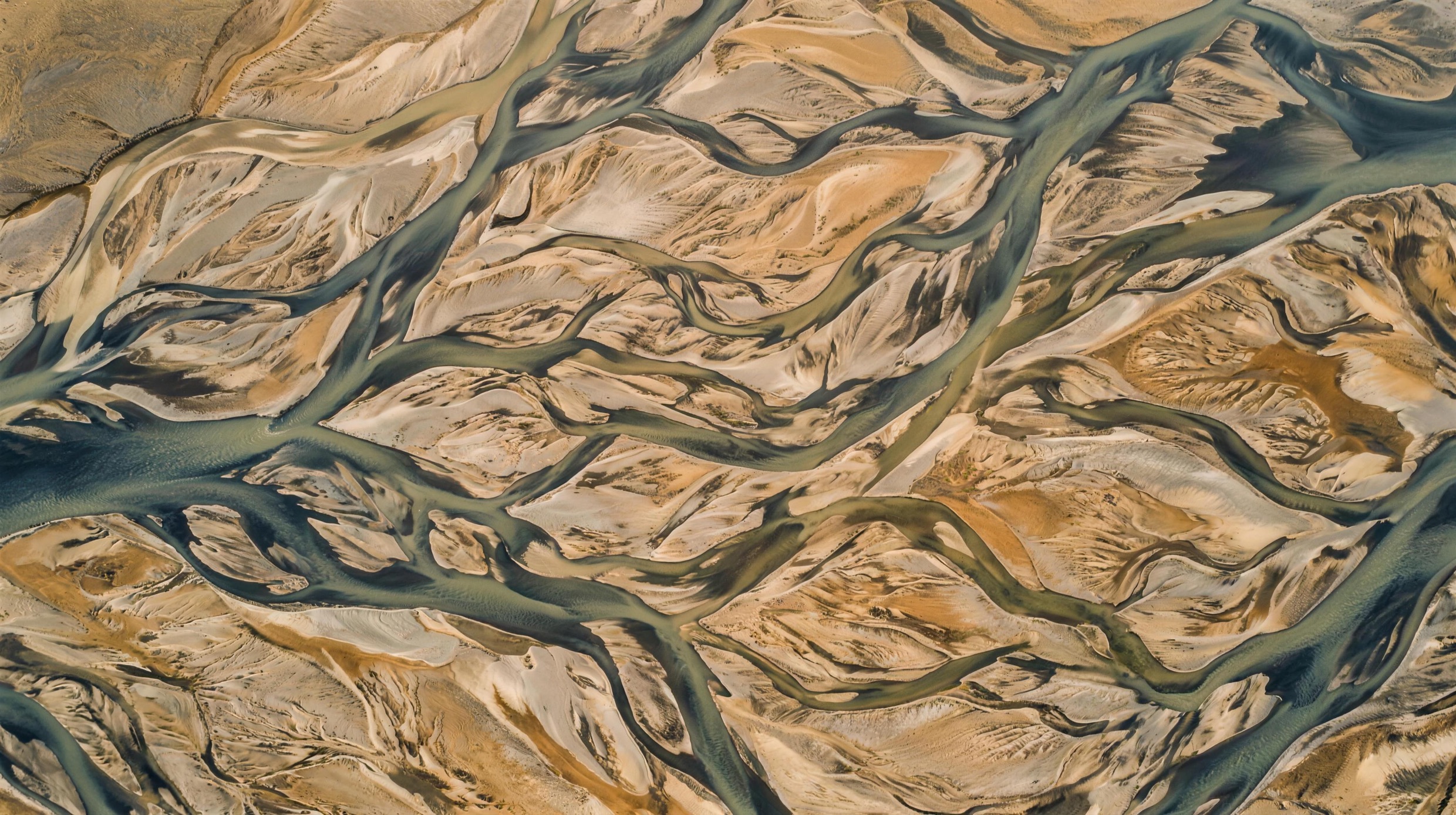 An aerial view of a braided river delta, many channels branching and rejoining across pale silt.