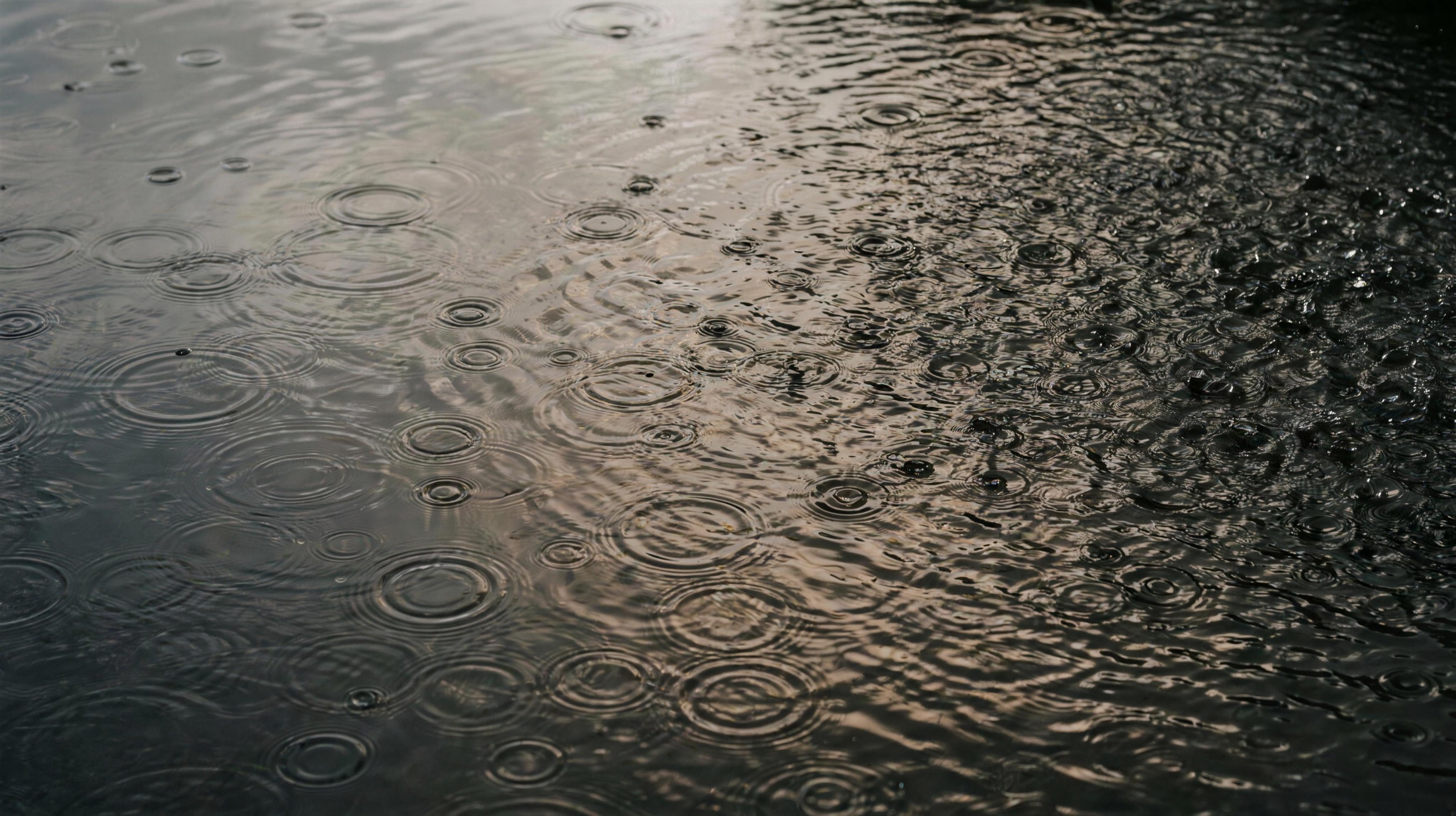 Rain falling on dark still water, overlapping rings spreading across the surface.