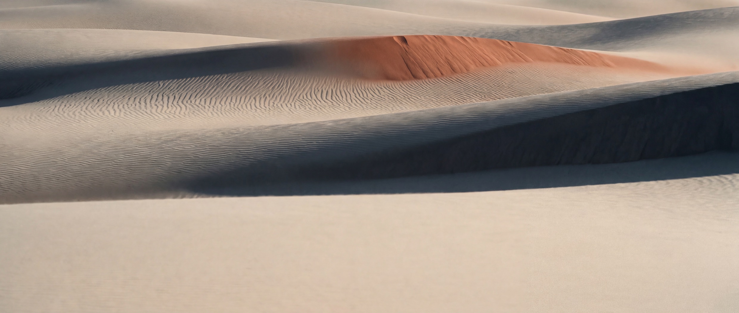 Wind-rippled sand dunes under a low sun, long shadows across the ridges.